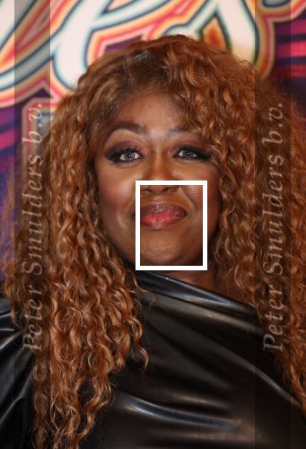 Amsterdam, 2 April 2024
Voorstelling Ladies of Soul
Berget Lewis