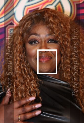 Amsterdam, 2 April 2024
Voorstelling Ladies of Soul
Berget Lewis