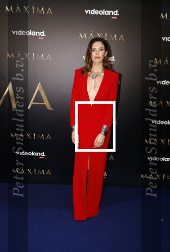Amsterdam 15 april 2024
Premiere serie Maxima van Videoland in Tuschinski. Aanwezig oa Delfina Chaves en Martijn Lakemeier .
