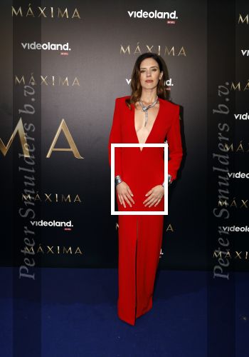 Amsterdam 15 april 2024
Premiere serie Maxima van Videoland in Tuschinski. Aanwezig oa Delfina Chaves en Martijn Lakemeier .