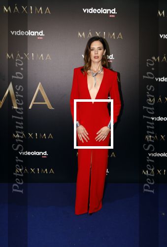 Amsterdam 15 april 2024
Premiere serie Maxima van Videoland in Tuschinski. Aanwezig oa Delfina Chaves en Martijn Lakemeier .