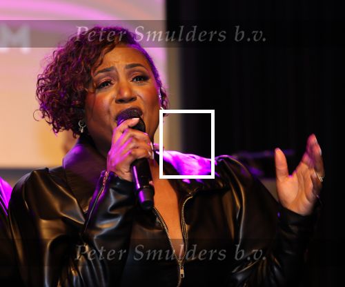 Amsterdam, 2 April 2024
Voorstelling Ladies of Soul
Edsilia Rombley