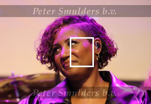 Amsterdam, 2 April 2024
Voorstelling Ladies of Soul
Edsilia Rombley
