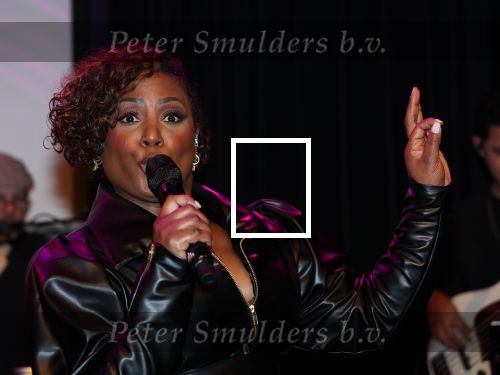 Amsterdam, 2 April 2024
Voorstelling Ladies of Soul
Edsilia Rombley