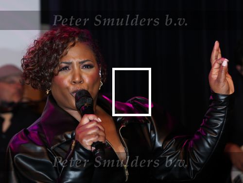 Amsterdam, 2 April 2024
Voorstelling Ladies of Soul
Edsilia Rombley