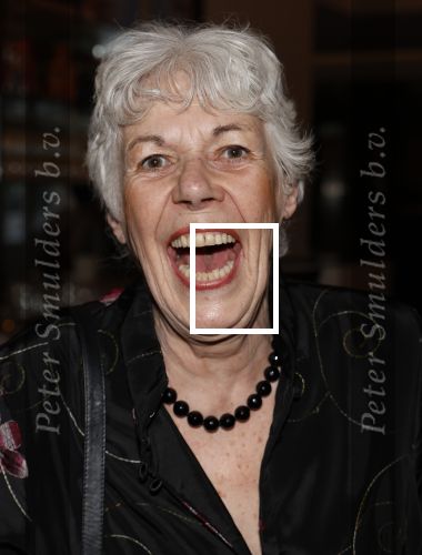 Amsterdam 3 april 2024
Amsterdamse premiere van Mamma Mia in het DeLaMar theater. 
Ellen Rohrman