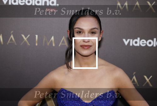 Amsterdam 15 april 2024
Premiere serie Maxima van Videoland in Tuschinski. Aanwezig oa Delfina Chaves en Martijn Lakemeier .Holly Brood