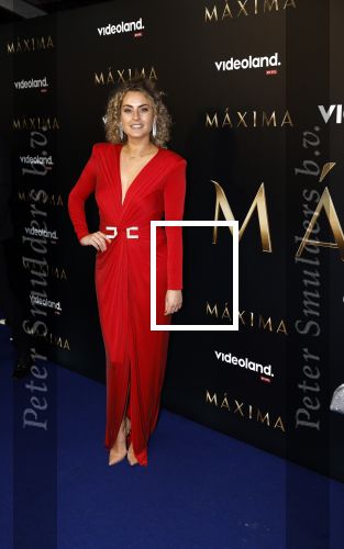 Amsterdam 15 april 2024
Premiere serie Maxima van Videoland in Tuschinski. Aanwezig oa Delfina Chaves en Martijn Lakemeier . Iris Rulkens met partner