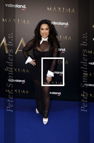 Amsterdam 15 april 2024
Premiere serie Maxima van Videoland in Tuschinski. Aanwezig oa Delfina Chaves en Martijn Lakemeier . Kimmylien Nguyen kwam met een vriendin