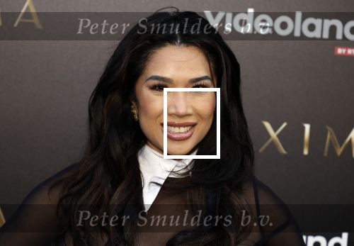 Amsterdam 15 april 2024
Premiere serie Maxima van Videoland in Tuschinski. Aanwezig oa Delfina Chaves en Martijn Lakemeier . Kimmylien Nguyen kwam met een vriendin