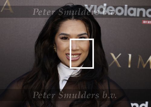 Amsterdam 15 april 2024
Premiere serie Maxima van Videoland in Tuschinski. Aanwezig oa Delfina Chaves en Martijn Lakemeier . Kimmylien Nguyen kwam met een vriendin