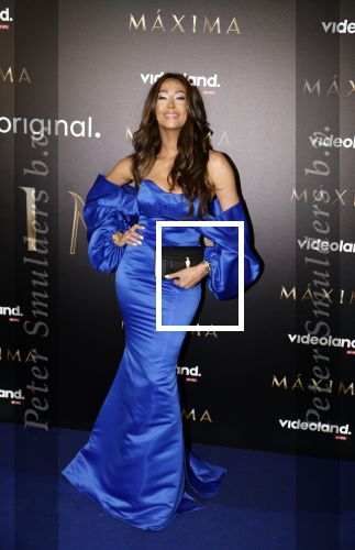 Amsterdam 15 april 2024
Premiere serie Maxima van Videoland in Tuschinski. Aanwezig oa Delfina Chaves en Martijn Lakemeier . Maria Tailor