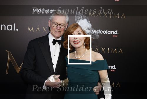 Amsterdam 15 april 2024
Premiere serie Maxima van Videoland in Tuschinski. Aanwezig oa Delfina Chaves en Martijn Lakemeier . Marijke Helwegen kwam met haar man Harrie