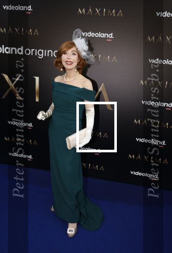 Amsterdam 15 april 2024
Premiere serie Maxima van Videoland in Tuschinski. Aanwezig oa Delfina Chaves en Martijn Lakemeier . Marijke Helwegen kwam met haar man Harrie
