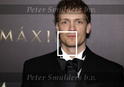 Amsterdam 15 april 2024
Premiere serie Maxima van Videoland in Tuschinski. Aanwezig oa Delfina Chaves en Martijn Lakemeier .
