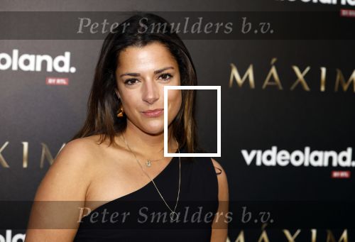 Amsterdam 15 april 2024
Premiere serie Maxima van Videoland in Tuschinski. Aanwezig oa Delfina Chaves en Martijn Lakemeier . Merel Beks