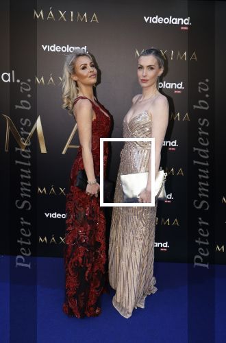 Amsterdam 15 april 2024
Premiere serie Maxima van Videoland in Tuschinski. Aanwezig oa Delfina Chaves en Martijn Lakemeier . Naomi v d Zwaan en Cheeru Mampaey