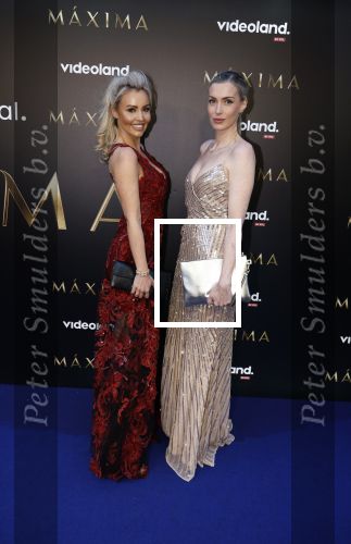 Amsterdam 15 april 2024
Premiere serie Maxima van Videoland in Tuschinski. Aanwezig oa Delfina Chaves en Martijn Lakemeier . Naomi v d Zwaan en Cheeru Mampaey