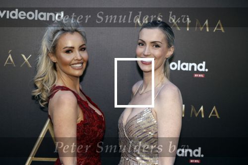 Amsterdam 15 april 2024
Premiere serie Maxima van Videoland in Tuschinski. Aanwezig oa Delfina Chaves en Martijn Lakemeier . Naomi v d Zwaan en Cheeru Mampaey