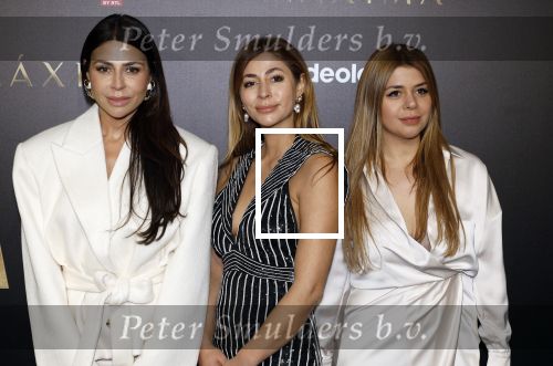 Amsterdam 15 april 2024
Premiere serie Maxima van Videoland in Tuschinski. Aanwezig oa Delfina Chaves en Martijn Lakemeier . olcay Gulsen kwam met zus Dolshe Gulsen en ...