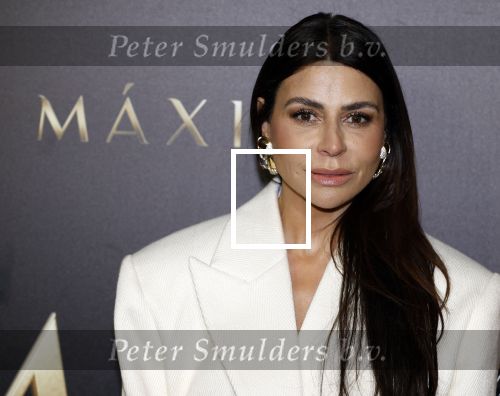 Amsterdam 15 april 2024
Premiere serie Maxima van Videoland in Tuschinski. Aanwezig oa Delfina Chaves en Martijn Lakemeier . olcay Gulsen kwam met zus Dolshe Gulsen en ...