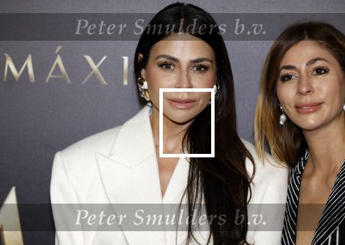 Amsterdam 15 april 2024
Premiere serie Maxima van Videoland in Tuschinski. Aanwezig oa Delfina Chaves en Martijn Lakemeier . olcay Gulsen kwam met zus Dolshe Gulsen en ...