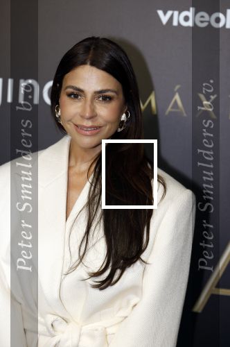 Amsterdam 15 april 2024
Premiere serie Maxima van Videoland in Tuschinski. Aanwezig oa Delfina Chaves en Martijn Lakemeier . olcay Gulsen kwam met zus Dolshe Gulsen en ...