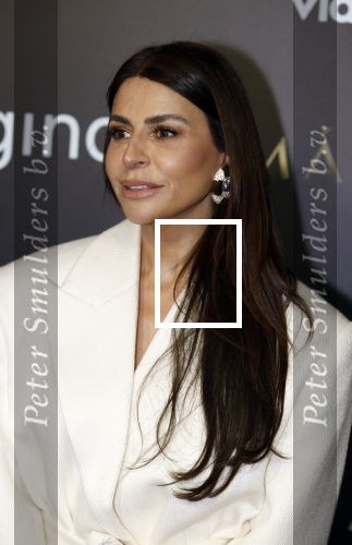 Amsterdam 15 april 2024
Premiere serie Maxima van Videoland in Tuschinski. Aanwezig oa Delfina Chaves en Martijn Lakemeier . olcay Gulsen kwam met zus Dolshe Gulsen en ...