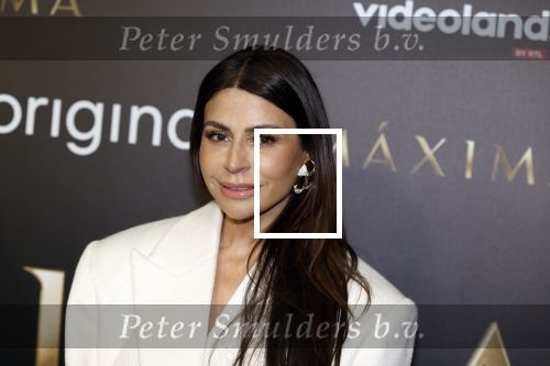 Amsterdam 15 april 2024
Premiere serie Maxima van Videoland in Tuschinski. Aanwezig oa Delfina Chaves en Martijn Lakemeier . olcay Gulsen kwam met zus Dolshe Gulsen en ...