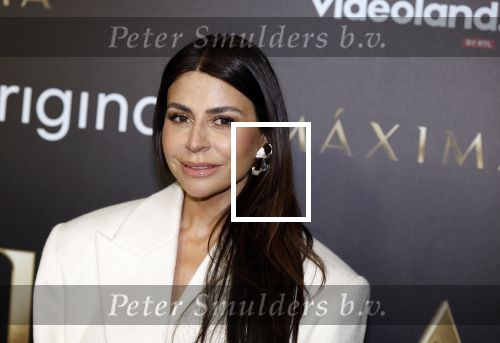 Amsterdam 15 april 2024
Premiere serie Maxima van Videoland in Tuschinski. Aanwezig oa Delfina Chaves en Martijn Lakemeier . olcay Gulsen kwam met zus Dolshe Gulsen en ...
