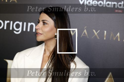 Amsterdam 15 april 2024
Premiere serie Maxima van Videoland in Tuschinski. Aanwezig oa Delfina Chaves en Martijn Lakemeier . olcay Gulsen kwam met zus Dolshe Gulsen en ...