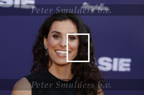 Amsterdam 8 april 2024
Premiere Invasie in Pathe Arena met oa Tarikh Jansen Ortal Vriend Raymond Thiry Gijs Scholten v Aschat Jasha Rudge Gijs Blom Fedja v Huet . Bobby Boermans is de regisseur.