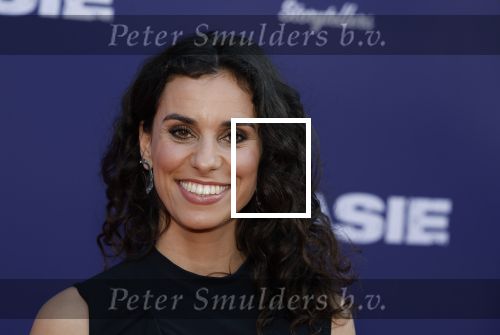 Amsterdam 8 april 2024
Premiere Invasie in Pathe Arena met oa Tarikh Jansen Ortal Vriend Raymond Thiry Gijs Scholten v Aschat Jasha Rudge Gijs Blom Fedja v Huet . Bobby Boermans is de regisseur.