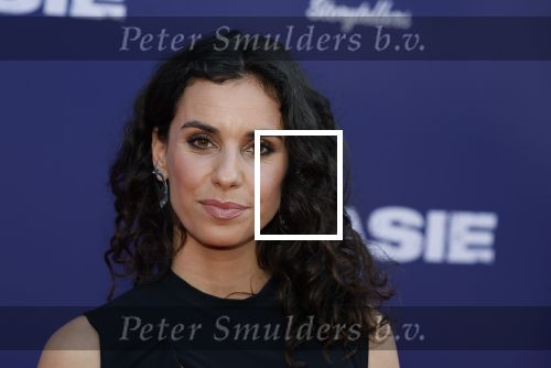 Amsterdam 8 april 2024
Premiere Invasie in Pathe Arena met oa Tarikh Jansen Ortal Vriend Raymond Thiry Gijs Scholten v Aschat Jasha Rudge Gijs Blom Fedja v Huet . Bobby Boermans is de regisseur.