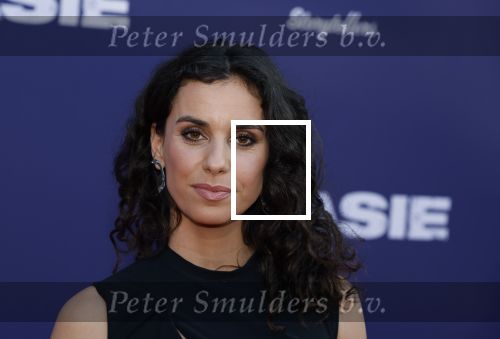 Amsterdam 8 april 2024
Premiere Invasie in Pathe Arena met oa Tarikh Jansen Ortal Vriend Raymond Thiry Gijs Scholten v Aschat Jasha Rudge Gijs Blom Fedja v Huet . Bobby Boermans is de regisseur.