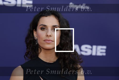 Amsterdam 8 april 2024
Premiere Invasie in Pathe Arena met oa Tarikh Jansen Ortal Vriend Raymond Thiry Gijs Scholten v Aschat Jasha Rudge Gijs Blom Fedja v Huet . Bobby Boermans is de regisseur.