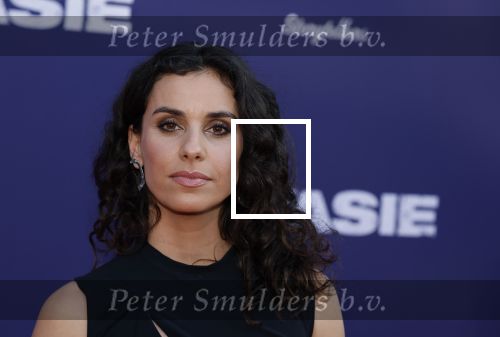 Amsterdam 8 april 2024
Premiere Invasie in Pathe Arena met oa Tarikh Jansen Ortal Vriend Raymond Thiry Gijs Scholten v Aschat Jasha Rudge Gijs Blom Fedja v Huet . Bobby Boermans is de regisseur.