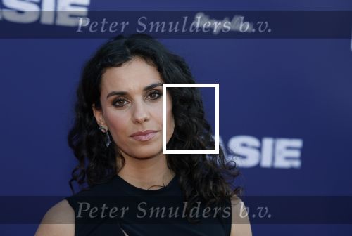 Amsterdam 8 april 2024
Premiere Invasie in Pathe Arena met oa Tarikh Jansen Ortal Vriend Raymond Thiry Gijs Scholten v Aschat Jasha Rudge Gijs Blom Fedja v Huet . Bobby Boermans is de regisseur.