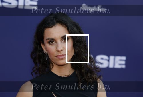 Amsterdam 8 april 2024
Premiere Invasie in Pathe Arena met oa Tarikh Jansen Ortal Vriend Raymond Thiry Gijs Scholten v Aschat Jasha Rudge Gijs Blom Fedja v Huet . Bobby Boermans is de regisseur.