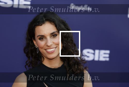 Amsterdam 8 april 2024
Premiere Invasie in Pathe Arena met oa Tarikh Jansen Ortal Vriend Raymond Thiry Gijs Scholten v Aschat Jasha Rudge Gijs Blom Fedja v Huet . Bobby Boermans is de regisseur.
