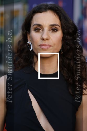 Amsterdam 8 april 2024
Premiere Invasie in Pathe Arena met oa Tarikh Jansen Ortal Vriend Raymond Thiry Gijs Scholten v Aschat Jasha Rudge Gijs Blom Fedja v Huet . Bobby Boermans is de regisseur.