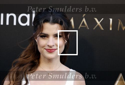 Amsterdam 15 april 2024
Premiere serie Maxima van Videoland in Tuschinski. Aanwezig oa Delfina Chaves en Martijn Lakemeier . Palma Agustina