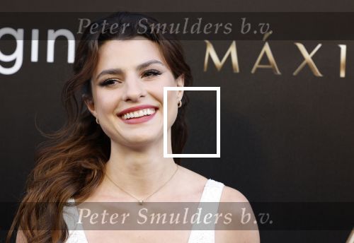 Amsterdam 15 april 2024
Premiere serie Maxima van Videoland in Tuschinski. Aanwezig oa Delfina Chaves en Martijn Lakemeier . Palma Agustina