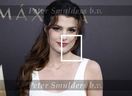 Amsterdam 15 april 2024
Premiere serie Maxima van Videoland in Tuschinski. Aanwezig oa Delfina Chaves en Martijn Lakemeier . Palma Agustina