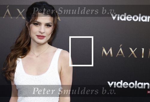 Amsterdam 15 april 2024
Premiere serie Maxima van Videoland in Tuschinski. Aanwezig oa Delfina Chaves en Martijn Lakemeier .