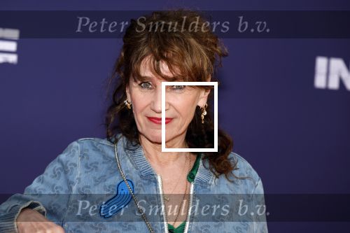 Amsterdam 8 april 2024
Premiere Invasie in Pathe Arena met oa Tarikh Jansen Ortal Vriend Raymond Thiry Gijs Scholten v Aschat Jasha Rudge Gijs Blom Fedja v Huet . Bobby Boermans is de regisseur. Renee Fokker