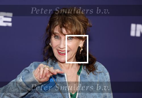Amsterdam 8 april 2024
Premiere Invasie in Pathe Arena met oa Tarikh Jansen Ortal Vriend Raymond Thiry Gijs Scholten v Aschat Jasha Rudge Gijs Blom Fedja v Huet . Bobby Boermans is de regisseur. Renee Fokker