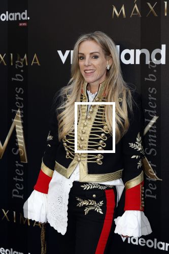 Amsterdam 15 april 2024
Premiere serie Maxima van Videoland in Tuschinski. Aanwezig oa Delfina Chaves en Martijn Lakemeier . Bob Sikkens en Roos Reedijk