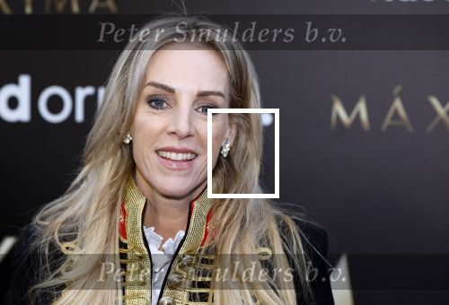 Amsterdam 15 april 2024
Premiere serie Maxima van Videoland in Tuschinski. Aanwezig oa Delfina Chaves en Martijn Lakemeier . Bob Sikkens en Roos Reedijk
