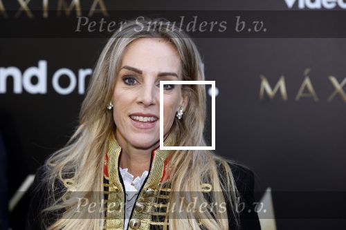 Amsterdam 15 april 2024
Premiere serie Maxima van Videoland in Tuschinski. Aanwezig oa Delfina Chaves en Martijn Lakemeier . Bob Sikkens en Roos Reedijk